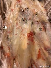 거제마리너호)쿨러없이떠나는한치낚시!!28일 자리널널