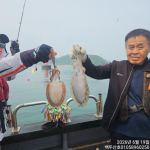 26년6월19일 홍원항 백두산호 왕갑오징어 조황입니다..