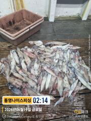 통영나이스피싱 100수초대박 터지는 새벽피딩  일요일자리여유