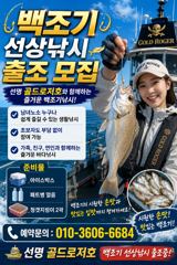 내일 백조기 출항합니다~~