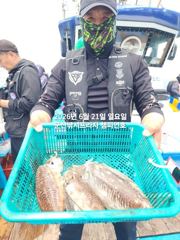 21일, 연일 싸이즈 쥑이는 타조알 갑오징어~싸이즈 좋아요~내일도 갑니다~군산 챔피언호