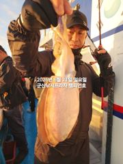 21일, 손맛 직이는 대포알 갑오징어~실시간~"오늘도 야간 갑오징어 출조합니다"~군산 챔피언호