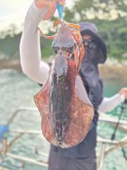 6월 21일 새벽출조 무늬 캐스팅 조황