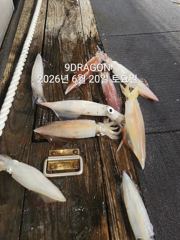 제주갈치는 제주답게~ 제주 구룡호(9DRAGON) 6월 20일 토요일  <<< 갈치 출조 >>>