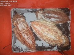 22일, 아침부터 히트,히트~우당탕탕~싸이즈 쥑이는 타조알 갑오징어~실시간~싸이즈 좋아요~내일도 갑니다~군산 그랜드호