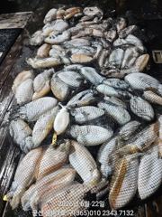 묵직한 손맛