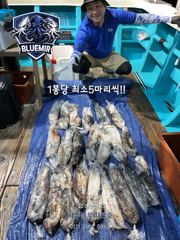260수 오바!! 초대박조황!! 6월22일 한치입항!!