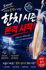 [한치]기본50수는.가뿐히,넘기고,마리수(목,금,출항,예약중)