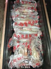 <여수광성호> 여름 제철 한치! 광성호로 놀러오세요~