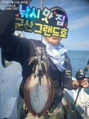 23일, 대포알 대물 갑오징어~싸이즈 좋아요~실시간~오늘도 야간 갑오징어 갑니다~군산 그랜드호