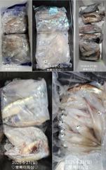 "한치"대포왕한치 ~목요일 예약가능 합니다!!