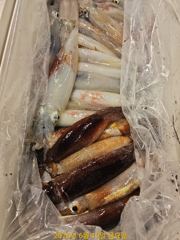 대포알 왕한치 내일 날씨굿 ᆢ 좋은조횐ㅇ 기대만땅 ᆢ 예약가능 