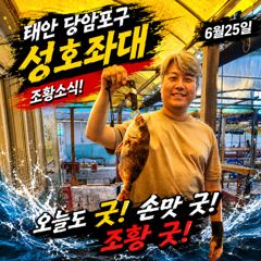 6.25 성호좌대 조황소식