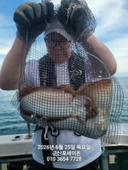 25일, 대포알 갑오징어~싸이즈 좋아요~굿~~오늘도 야간 갑오징어 갑니다~군산 포세이돈호