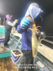  먼바다 대포급 한치 먹물 폭탄 대박 한치 쿨러조황 오늘 무조건 출항 6자리여유
