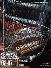 화살촉 오징어~ 먹물파티 느나느나~~