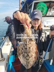 27일, 싸이즈 굿~ 대포알 갑오징어~~~실시간~오늘 야간 고등어,삼치 갑니다~군산 챔피언호
