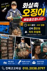 속천항 고고피싱 오징어 조황 사진