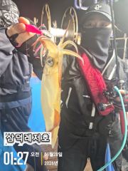 [한치]대포도.있고.대.중.소.조황(오늘15시.출조확정)