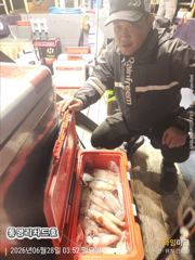 6/27(토) 한치 조황 입니다 ~ 6/30(화) 소수인원 출항확정 ~