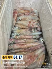 우당탕탕[한치~한치]일요일 달립니다[예약가능]