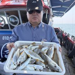 홍원항 백조기 6월 28일(일) [[[ 블랙펄호 ]]] 오도독 손맛이 아쉬웠지만 묵직한 수조기들로 손맛은 충분히 보고 왔네요~