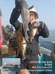 28일, 먼침선 통통한 개우럭등~오늘도 쌍걸이등 ~쿨러 대박~내일도 갑니다~강추~군산 하이원호