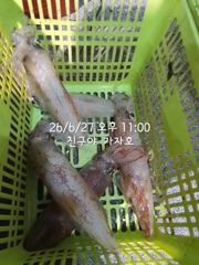 친구야가자호))한치다녀왔습니다. 바다에 한치가 버글버글 30까지는 갈치 1일부터 한치갑니다.