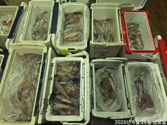 왕한치늦은피~딩전원100수40수손맛장!!!