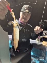 28일 신아라호 한치조황