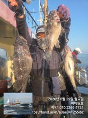29일, 먼침선 통통한 개우럭등~오늘도 쌍걸이등 ~실시간~내일도 갑니다~강추~군산 하이원호