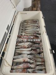 제주갈치는 제주답게~ 제주 구룡호(9DRAGON) 6월 28일 일요일  <<< 갈치 출조 >>>