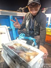 ((왕대포한치))박터지게 퍼담어러오세요 청기백기 오늘오후4시(예약가능자리완전텅텅 