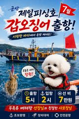 ⭐군산제일피싱호⭐갑오징어 출조 선비7만원