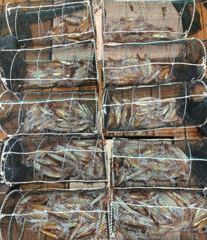 화살촉오징어  손맛가득 목,금,토,일 예약가능합니다 