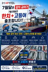 통영 VIP만물호 먼바다 한치+고등어 다잡아!!(채비제한 쿨러제한없이 )!