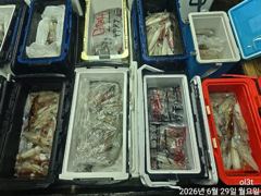 왕한치세자리수손맛보려목요일부터달립니다
