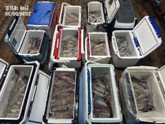 [왕한치]소수인원으로 많이잡고!! 오늘/내일 예약가능!! [준내만갈치] 예약가능합니다!