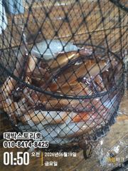 화살촉 오징어~ 3일4일 졸업식 갑니다~