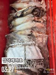 [한치]대포한치,만쿨,반쿨,빈쿨(오늘,소수인원,출항확정,토요일,예약중)