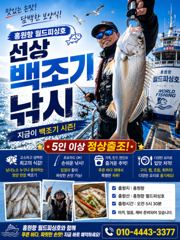 백조기 탐사 조황