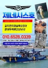 한치] 오늘 한치출항확정 예약가능~ 한치구덩이로 고고!!~