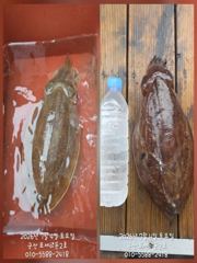 4일, 대포알 갑오징어~싸이즈 좋아요~ 실시간~오늘 야간 "고등어,삼치" 갑니다~군산 포세이돈 2호