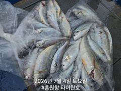 홍원항 타이탄호 7월4일(토) 백조기&부서 조황~