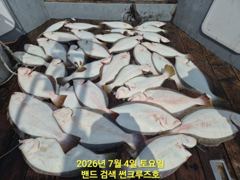 7월 4일 12분 모시고 점심 없이 조기 철수 광어다운샷 조황
