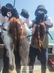 내일붉바리민어외수질자리가능01086368723