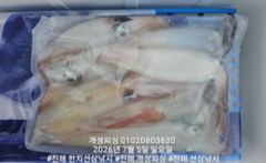 대포급 왕 한치 먹물 폭탄 한치 쿨러조황 월요일부터 예약가능