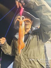 대포알 왕한치 초저녂 우당당탕 ᆢ 전원쿨러 ᆢ 화요일 예약가능 