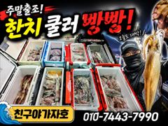 친구야가자호)한치낚시 주말조황~~예약문의010-7443-7990