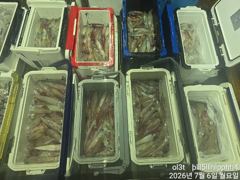 6일입항왕한치우당~탕먹물잔치전원80수~50수손맛짱!!!